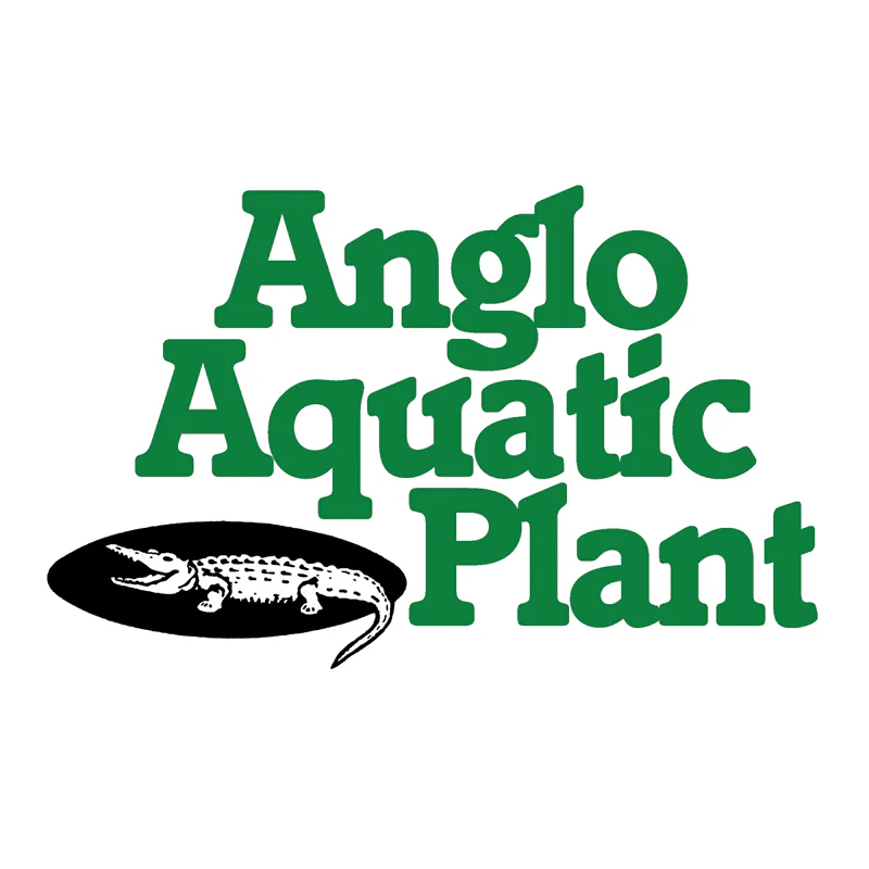 Anglo Aquatics Finofil 29cm Square Pot Pack Of 3 - Image 3