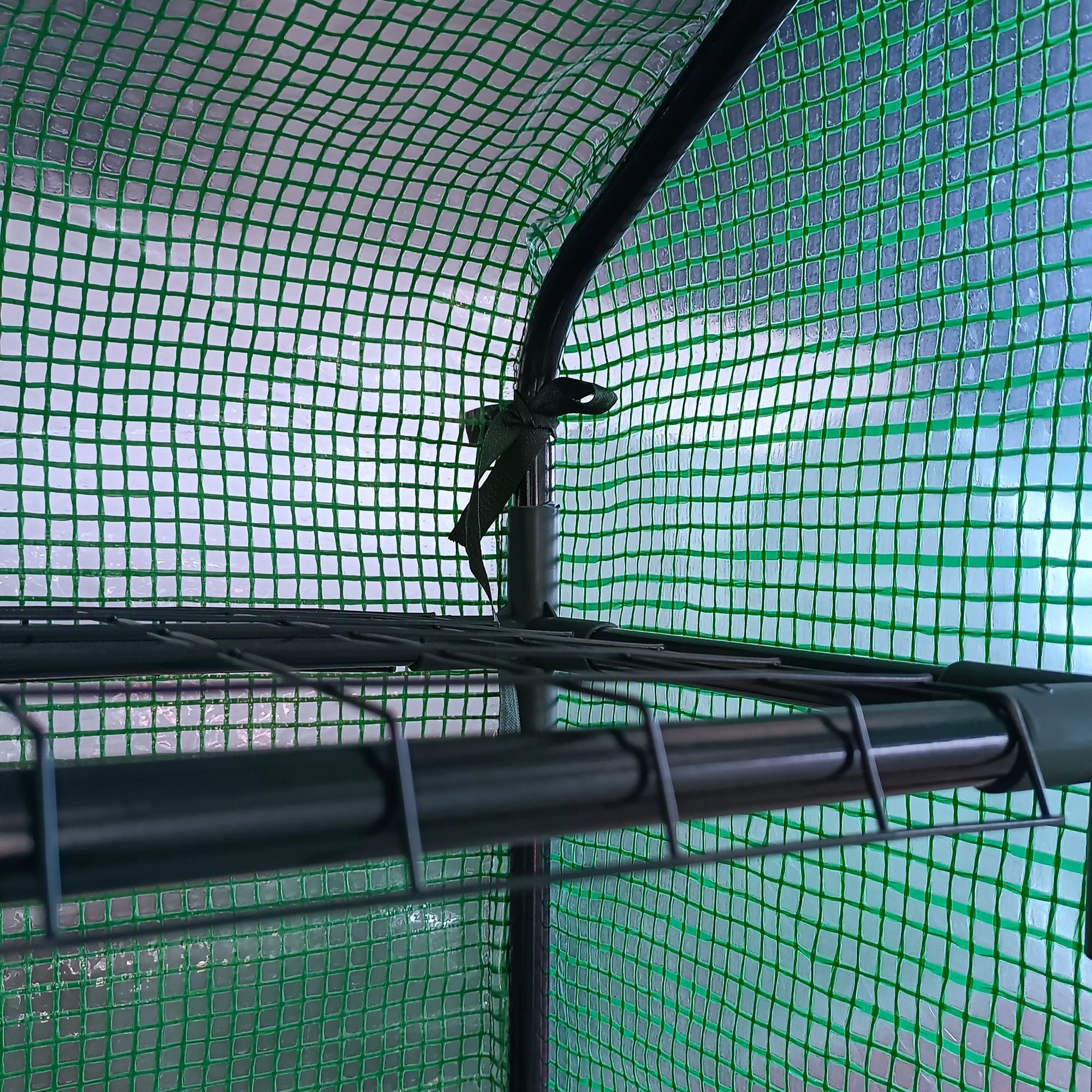 Poly Tunnel Steeple Walk in Garden Greenhouse with Removable Cover Shelves - Green 244 x 180 x 210cm - Image 8