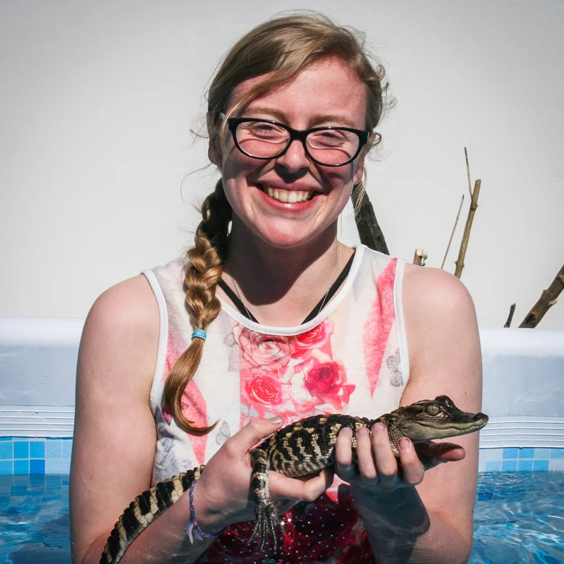 Swimming with Crocodiles for Two And Lunch - Gift Experience - Image 4