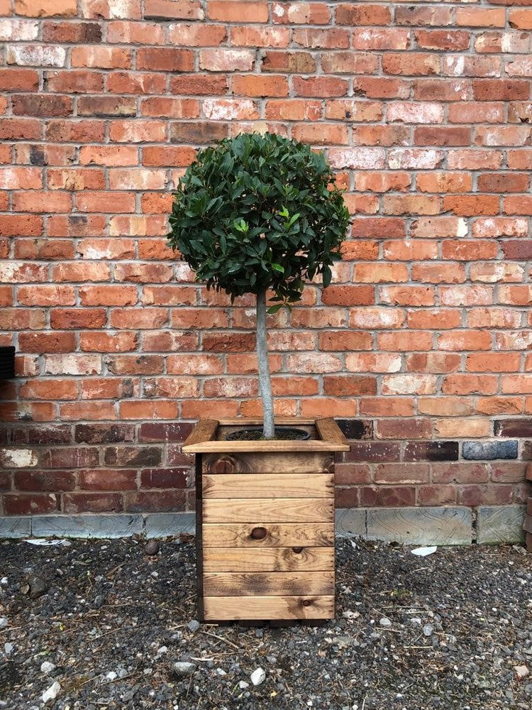 Windsor Garden Planter by Charles Taylor - Image 2